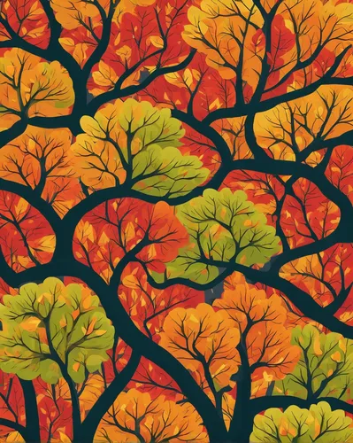 autumn tree,autumn pattern,maple foliage,colored leaves,autumn background,maple leave,fall leaves,maple tree,autumnal leaves,colorful leaves,autumn leaf paper,autumn trees,fall leaf border,deciduous tree,leaf background,colorful tree of life,tree leaves,autumn plaid pattern,painted tree,autumn leaves,Illustration,Vector,Vector 08