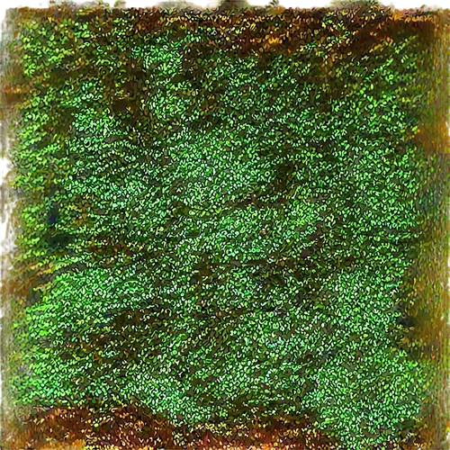 green border,forest moss,green wallpaper,block of grass,groundcover,tree moss,green plant,decorative bush,brick grass,green plants,moss landscape,bryophytes,green garden,green tree,shrubbery,bryophyte,hedge,degenerative,ornamental shrub,shrub,Illustration,Realistic Fantasy,Realistic Fantasy 17