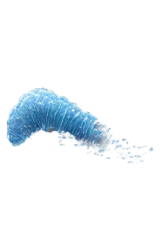 polychaete,flagella,eukaryote,micropholis,desulfovibrio,elegans,microlepis,hydrozoa,rotifer,flagellum,wormlike,protozoa,platyhelminthes,paramecium,ectoparasite,legionella,polychaetes,vibrio,anomalocaris,millipede,Photography,Black and white photography,Black and White Photography 10