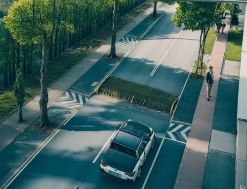 asphalt road,tree lined lane,tree-lined avenue,bicycle lane,bus lane,avenue,Photography,General,Realistic