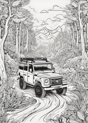 A thrilling off-road expedition through dense forests and wild landscapes.,land rover defender,land-rover,land rover discovery,land rover,toyota land cruiser,g-class,land rover series,nissan patrol,sn