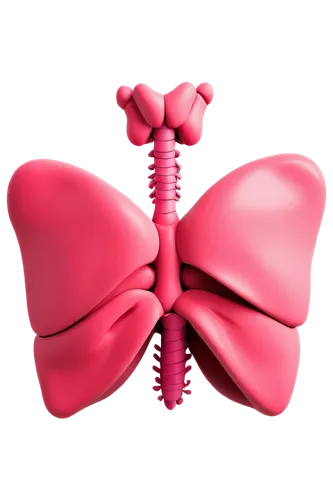 pink butterfly,mediastinal,pink ribbon,pink bow,creatinine,thyroglobulin,cancer ribbon,mastectomy,derivable,hypopharynx,hyperthyroid,sphenoid,hypothyroidism,butterfly vector,uremia,thyroid,red butterfly,chemoreceptor,red ribbon,albuterol,Illustration,Vector,Vector 20