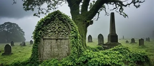 Ancient, mysterious, abandoned, old, worn, stone tombstone, intricate carvings, gothic style, moss-covered, ivy vines, weathered, cracked, broken, forgotten, eerie atmosphere, misty fog, dim lighting,