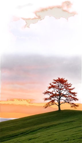 lone tree,isolated tree,landscape background,nature background,lonetree,purple landscape,red tree,watercolor tree,albero,landscape red,arbre,landscape nature,nature landscape,background view nature,dusk background,paysage,autumn tree,small tree,deciduous tree,landscapes,Photography,Black and white photography,Black and White Photography 10