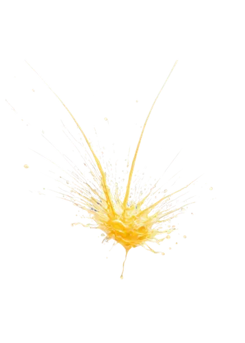 Transparent background, splash, sperm, microscopic view, detailed texture, glowing effect, soft focus, shallow depth of field, warm lighting, golden color tone, 3/4 composition, close-up shot.,yellow 