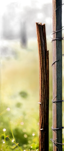 fence posts,fenceposts,pasture fence,wooden fence,fenceline,wood fence,wooden poles,fence,wicker fence,wooden pole,garden fence,fenced,fences,wire fence,depth of field,background bokeh,the fence,fence element,unfenced,chain fence,Conceptual Art,Fantasy,Fantasy 11