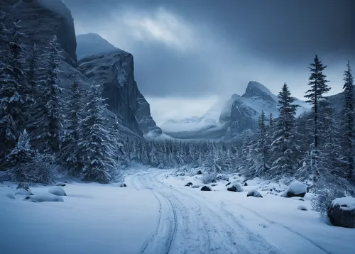 winter landscape,snowy landscape,snow landscape,winter background,snow scene,winter forest,snowy mountains,salt meadow landscape,winter wonderland,wintry,icefield parkway,deep snow,mountain pass,winter magic,alpine drive,winter storm,snow trail,mountain road,mountains snow,alpine route,Photography,Documentary Photography,Documentary Photography 19