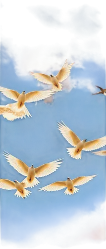 birds in flight,birds flying,flying sea gulls,bird flight,migratory birds,geese flying,flying birds,bird flying,migratory bird,doves of peace,bird migration,flying tern,bird in flight,migrate,crested terns,seagulls flock,herring gulls,formation flight,pigeon flight,tern flying,Illustration,Realistic Fantasy,Realistic Fantasy 32