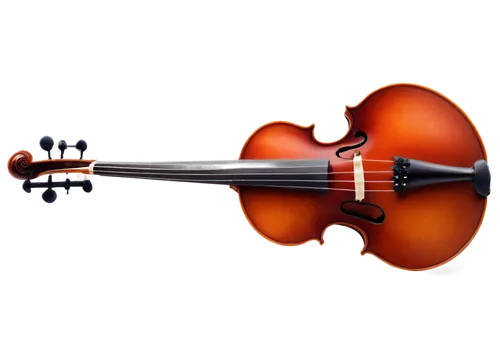 violoncello,violin,violone,bass violin,bowed string instrument,violin key,violin neck,stringed bowed instrument,violins,cello,violist,kit violin,string instrument,violinist violinist,string instrument accessory,bowed instrument,stringed instrument,violin bow,plucked string instrument,string instruments,Photography,Black and white photography,Black and White Photography 11