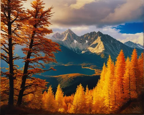 Autumn colours in High Tatras,larch forests,autumn mountains,larch trees,autumn background,autumn landscape,american larch,fall landscape,larch tree,landscape background,temperate coniferous forest,au