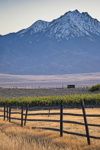 antelope island,pasture fence,mountain meadow hay,mount kahuranaki,mountain pasture,western united states,split-rail fence,salt meadow landscape,the mongolian and russian border mountains,nevada,high desert,rocky mountain,southern wine route,mountain range,white mountains,mount shasta,idaho,snowy mountains,wyoming,shasta,Illustration,Black and White,Black and White 18