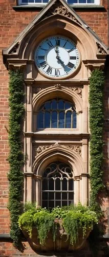 rijksakademie,ingestre,fachhochschule,fachhochschulen,kunstverein,heidelberger schloss,schwäbisch hall,kunsthaus,landesmuseum,hochschule,altes rathaus plüderhausen,hilfenhaus,heidelberger,chrobry,singakademie,kunsthalle,freudenstadt,bayreuth,hare window,frauenmantel,Illustration,Realistic Fantasy,Realistic Fantasy 14