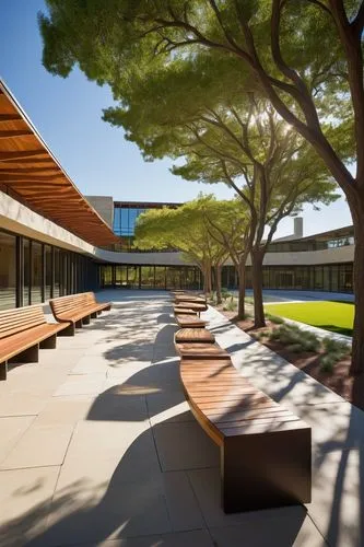 Stanford University, architectural design program, campus building, modern architecture, glass facade, steel structure, curved lines, open courtyard, natural light, green roof, wooden benches, stone p