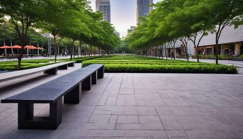 9 11 memorial,rockefeller plaza,benches,tree lined avenue,tree-lined avenue,urban park,metrotech,costanera center,paved square,difc,biopolis,central park,greenspaces,marunouchi,greenspace,landscaped,green space,pedestrianized,juilliard,broadgate,Photography,Documentary Photography,Documentary Photography 09