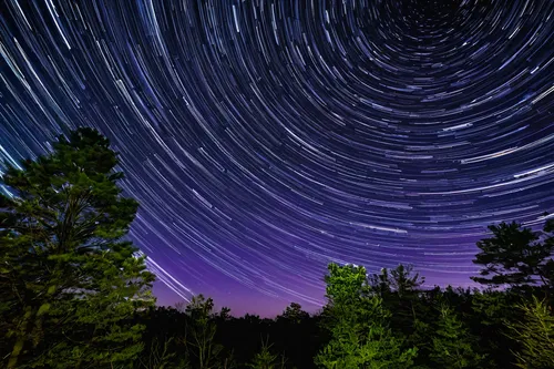 Star trails, facing the North sky in Franklin Parker Preserve, New Jersey,star trails,star trail,perseids,astrophotography,perseid,starry sky,starscape,meteor shower,starry night,north star,colorful s