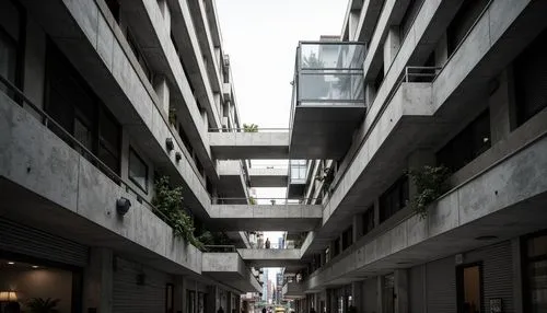 azabu,motomachi,biopolis,omotesando,skyways,old linden alley,nihonbashi,herrengasse,laneways,multistory,taikoo,skywalks,horinouchi,alley,passage,shimbashi,takadanobaba,broadmead,narrow street,alleyway