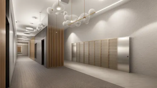 hallway space,3d rendering,hallway,walk-in closet,render,room divider,hotel hall,daylighting,elevators,interior modern design,capsule hotel,recessed,search interior solutions,track lighting,interior decoration,room lighting,3d render,crown render,3d rendered,ceiling lighting