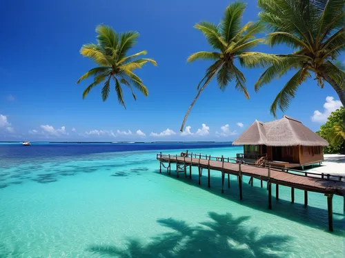 Maldives, tropical paradise, clear blue water, white sandy beaches, palm trees, overwater bungalows, coral reefs, marine life, sunset, aerial view, luxury resort, wooden jetty, hammocks, serene atmosp