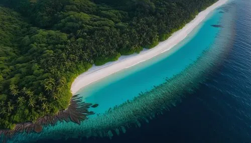 maldive islands,raja ampat,andaman sea,maldivian rufiyaa,maldives mvr,heron island,aerial view of beach,cook islands,maldives,widi islands,moorea,atoll from above,seychelles,fiji,padarisland,atoll,southern island,veligandu island,halmahera islands,great barrier reef,Photography,General,Natural