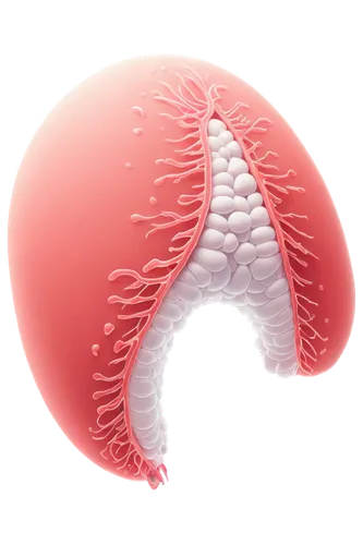 Microscopic, bacterial vaginosis, white thick discharge, creamy texture, vaginal infection, abnormal odor, itching sensation, magnified view, 3D illustration, semi-transparent background, soft focus, 