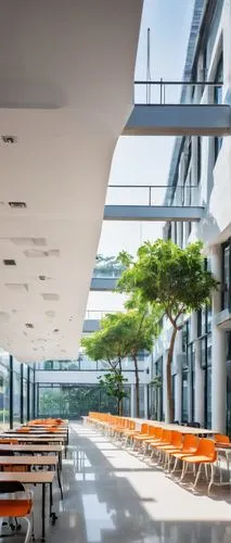 cafeteria,shenzhen vocational college,school design,school benches,cafeterias,canteen,epfl,bocconi,lunchrooms,lunchroom,esade,technion,kansai university,cafeteros,patios,esplanades,omotesando,ucsd,fachhochschule,terrasse,Illustration,Japanese style,Japanese Style 04