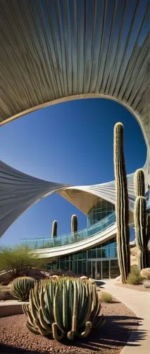 futuristic art museum,futuristic architecture,organ pipe cactus,arizona-sonora desert museum,desert plant,dutchman's-pipe cactus,sonoran,cactuses,xeriscaping,agaves,arcosanti,greenspun,sonoran desert,earthship,desert plants,superadobe,scottsdale,phototherapeutics,masdar,welwitschia,Illustration,Realistic Fantasy,Realistic Fantasy 08