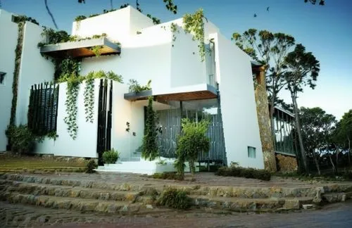 landscape design sydney,landscape designers sydney,model house,garden design sydney,residential house,hartbeespoort,exterior decoration,dunes house,private house,residence,villa,two story house,historic house,build by mirza golam pir,old colonial house,house facade,southern wine route,hosana,mid century house,beautiful home,Photography,General,Realistic