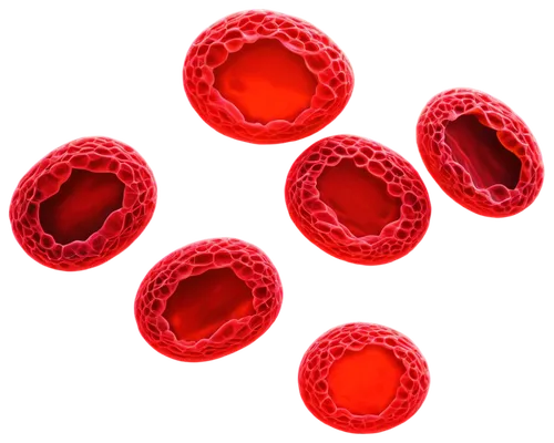 hemoglobinuria,erythrocytes,eosinophil,leukocytes,arenavirus,cryptosporidiosis,thrombocytopenic,thrombocytopenia,thromboembolism,thrombophilia,babesiosis,lipoprotein,eosinophils,keratinocytes,pancytopenia,erythropoiesis,lyssavirus,microvesicles,septicemia,vesicles,Illustration,Paper based,Paper Based 08