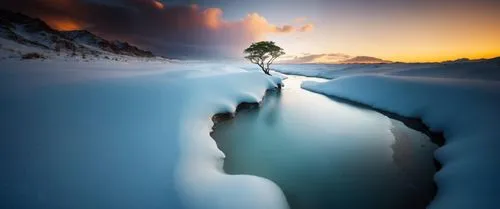 пусто, зима, снег,a frozen creek next to a tree in the snow,isolated tree,lone tree,ice landscape,snow landscape,crevasse,winter landscape