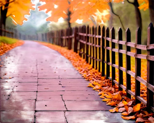 autumn background,autumn walk,autumn frame,autumn scenery,walkway,wooden path,sidewalk,pathway,just autumn,autumn songs,wooden fence,autumn,autumn season,autumn day,white picket fence,autumn landscape,wooden bridge,the autumn,autumn park,footpath,Illustration,Realistic Fantasy,Realistic Fantasy 45