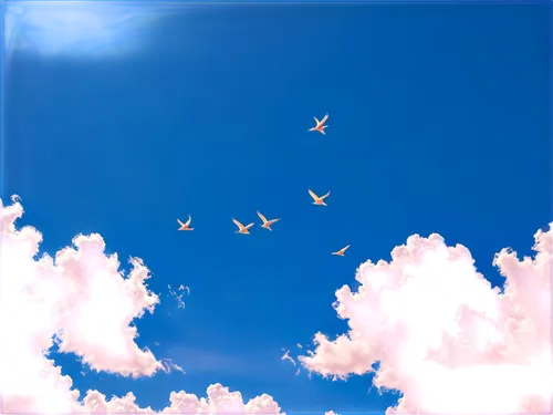 sky,flying birds,birds in flight,birds flying,bird in the sky,clouds - sky,sky clouds,bird flight,cloudmont,flock of birds,flying geese,blue sky clouds,summer sky,cloud play,sky butterfly,little clouds,pigeon flight,cielo,clouds,skies,Illustration,Black and White,Black and White 32