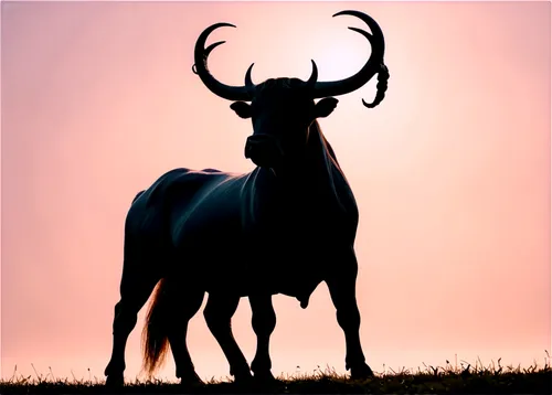 cervus elaphus,venado,cervus,blackbuck,ankole,hartebeest,glowing antlers,kudu,deer silhouette,deer bull,lechwe,elk bull,stag,kudu buck,addax,kudus,antlered,oryx,elk,bos taurus,Illustration,Realistic Fantasy,Realistic Fantasy 19