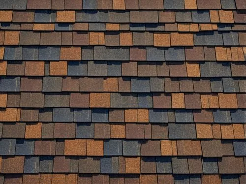 roof tiles,roof tile,house roofs,shingled,shingles,terracotta tiles,tiled roof,slate roof,house roof,shingle,roof panels,roof landscape,roofs,roofing,roof plate,tiles shapes,reed roof,the old roof,shingling,half-timbered wall,Illustration,Retro,Retro 05