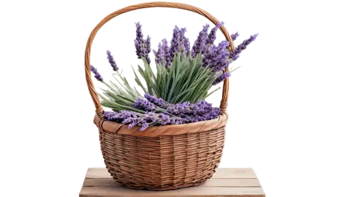 basket with flowers,flowers in basket,flower basket,lavandula,lavender flower,lavender flowers,the lavender flower,basket wicker,flowers png,lavender bunch,wicker baskets,lavander products,wicker basket,lavenders,moniquet,muscari armeniacum,muscari,lavender oil,lavendar,hyacinths,Photography,Documentary Photography,Documentary Photography 14