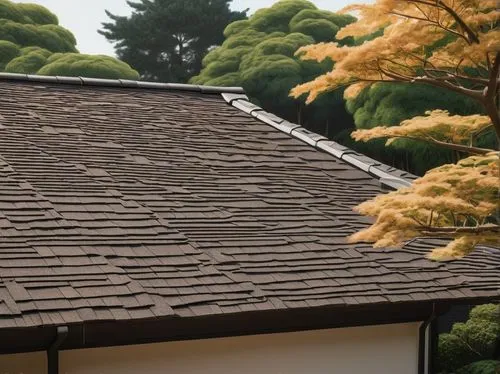 tiled roof,slate roof,wooden roof,roof tiles,thatched roof,roof landscape,thatch roof,roof tile,house roof,folding roof,shingled,roof panels,the old roof,roof plate,roofline,metal roof,rooflines,kinkakuji,straw roofing,roof,Illustration,Japanese style,Japanese Style 18