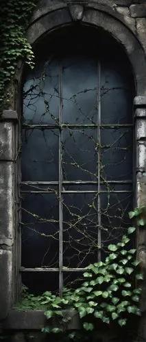 Abandoned, ruined, crumbling, Gothic, industrial, dark, eerie, misty, night, broken windows, shattered glass, rusty iron, vines crawling, ivy wrapped, stone walls, moss covered, overgrown, neglected, 