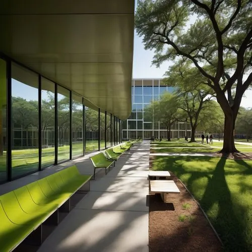 mfah,gensler,bunshaft,bechtler,mccombs,mies,green space,daylighting,gilcrease,mcnay,kimbell,adjaye,greenspace,iteso,spicewood,bobst,greenspaces,wintergarden,kinsolving,hallward,Photography,Black and white photography,Black and White Photography 07