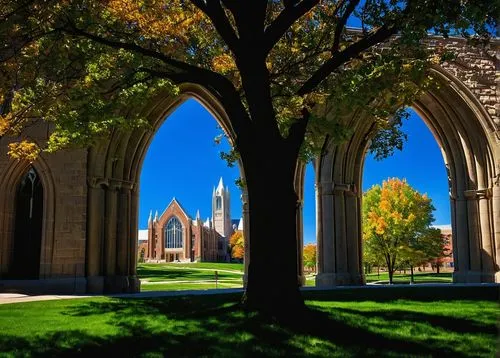 collegiate basilica,temple square,three centered arch,stanford,gunnison,cloisters,cloister,quadrangle,mdiv,stanford university,gcu,arches,washu,usc,ucla,creighton,cathedrals,provo,the cathedral,yale,Photography,Documentary Photography,Documentary Photography 29