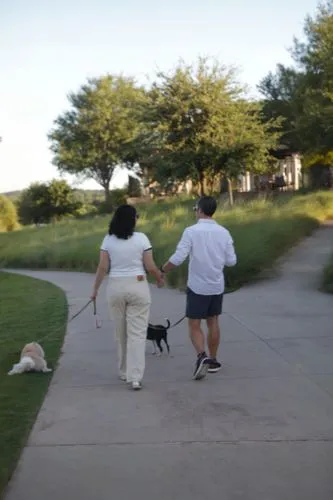 walking dogs,dog walker,two running dogs,kvue,wfaa,to stroll