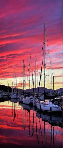 Red sky reflection on Nelson Haven NZ,boat harbor,pink dawn,old city marina,tasmania,incredible sunset over the lake,harbor,harbour,table bay harbour,blejski otok,bar harbor,trondheim,red sky,sailboat