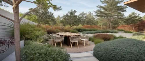 long wood log dinning table with chairs,outdoor landscaping and a dining room in an open space,landscape design sydney,landscape designers sydney,garden design sydney,3d rendering,landscaped,xeriscapi