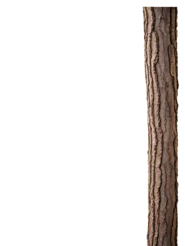 wooden pole,birch tree background,wood background,wooden background,birch tree illustration,wood daisy background,western yellow pine,siberian elm,birch trunk,tree slice,shortstraw pine,wooden figure,hokka tree,shortleaf black spruce,knotty pine,californian white oak,american pitch pine,ornamental wood,american larch,dry branch,Photography,Documentary Photography,Documentary Photography 09