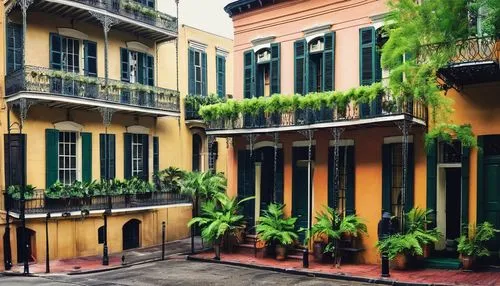 french quarters,new orleans,neworleans,dumaine,row houses,marigny,rowhouses,bienville,nola,orlean,savannah,brownstones,shophouses,lalaurie,beautiful buildings,townhouses,cesnola,plantations,calcutta,mizner,Illustration,Abstract Fantasy,Abstract Fantasy 14