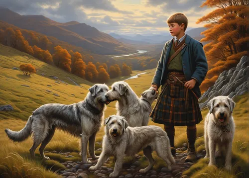 irish terrier,glen of imaal terrier,english shepherd,lakeland terrier,kennel club,carpathian shepherd dog,east-european shepherd,shepherd mongrel,scottish,bohemian shepherd,shepherd,airedale terrier,highlands,bergamasco shepherd,scottish highlands,glencoe,shepherd dog,glenclova,scotland,romanian mioritic shepherd dog,Illustration,Realistic Fantasy,Realistic Fantasy 27