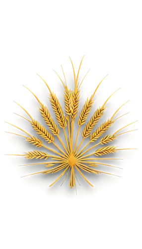 cyperus,elymus,echinochloa,spinifex,salsify,chrysanthemum background,black salsify,fireworks background,juncea,sunburst background,cheatgrass,andropogon,pennisetum,pappus,miscanthus,ornamental grass,lotus png,palm tree vector,dandelion background,kniphofia,Illustration,Black and White,Black and White 09