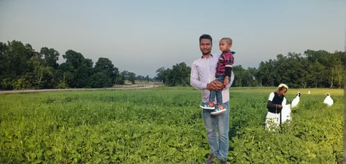 rice cultivation,barley cultivation,khanpur,field cultivation,paddy field,background view nature,farm background,in xinjiang,meadow play,in the field,scarecrows,cereal cultivation,girl and boy outdoor