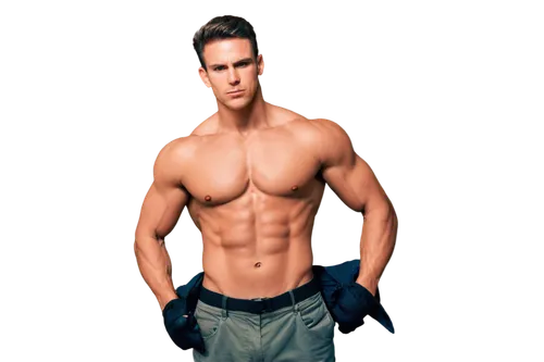 thayne,topher,hunky,yoav,jeans background,muscleman,cuttyhunk,gynecomastia,jaric,clenbuterol,obliques,torso,nyle,body building,dawid,abdominal,plitt,sadik,hrithik,baseball player,Illustration,Retro,Retro 10