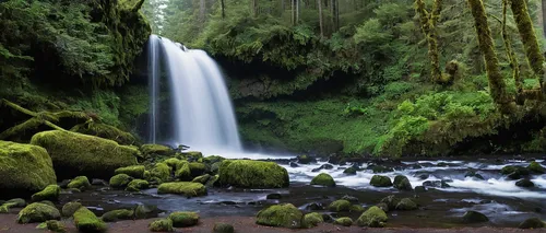 salt creek falls,oregon,green waterfall,ash falls,united states national park,brown waterfall,cascading,water falls,multnomah falls,mckenzie river,waterfalls,vancouver island,ilse falls,rain forest,tropical and subtropical coniferous forests,cascades,water flow,water fall,mountain stream,a small waterfall,Conceptual Art,Graffiti Art,Graffiti Art 12