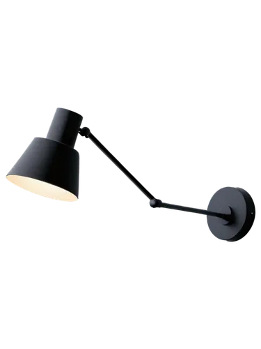 cuckoo light elke,desk lamp,hanging lamp,spot lamp,ceiling lamp,energy-saving lamp,track lighting,wall lamp,table lamp,replacement lamp,lighting accessory,floor lamp,lamp,tee light,led lamp,retro lamp,master lamp,searchlamp,hanging bulb,ceiling light,Illustration,Vector,Vector 09