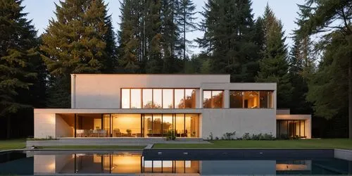 modern house,modern architecture,eisenman,forest house,mahdavi,mid century house,dreamhouse,bohlin,beautiful home,villa,minotti,prefab,cubic house,aalto,dunes house,simes,eichler,mid century modern,modern style,house shape,Photography,General,Realistic